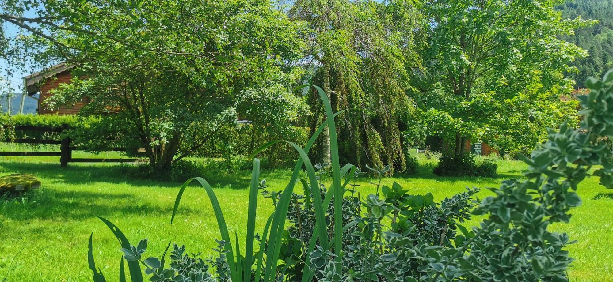 Gite Le Clos Des Vosges Ban-sur-Meurthe-Clefcy Esterno foto